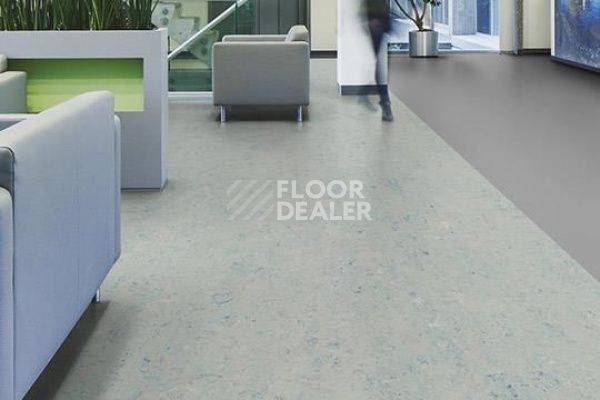 Линолеум Marmoleum Decibel on Order 342935 bluemoon фото 1 | FLOORDEALER